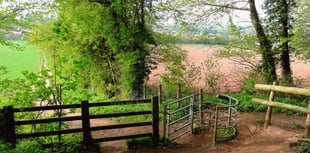 Local couple launch fight to save ancient woodland near Ross