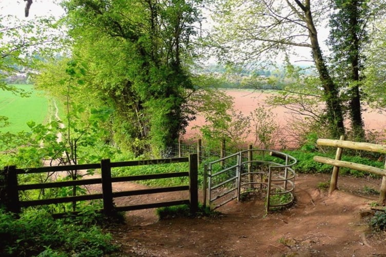 Merrivale Wood