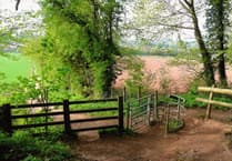 Local couple launch fight to save ancient woodland near Ross