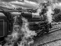 Stunning shots from Ross Photo Club's latest competition