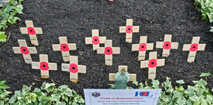Royal British Legion memorial garden opens in Ross