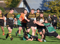 Newent dominate Forest Derby 26-7