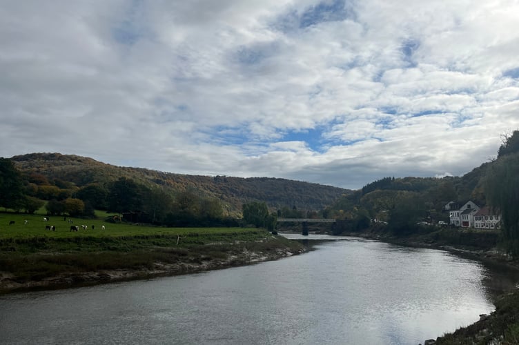 Tintern
