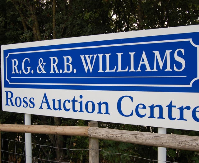 Livestock market sees surge in cattle and lamb sales