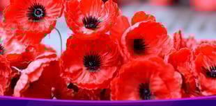 Free travel for veterans on Remembrance Day