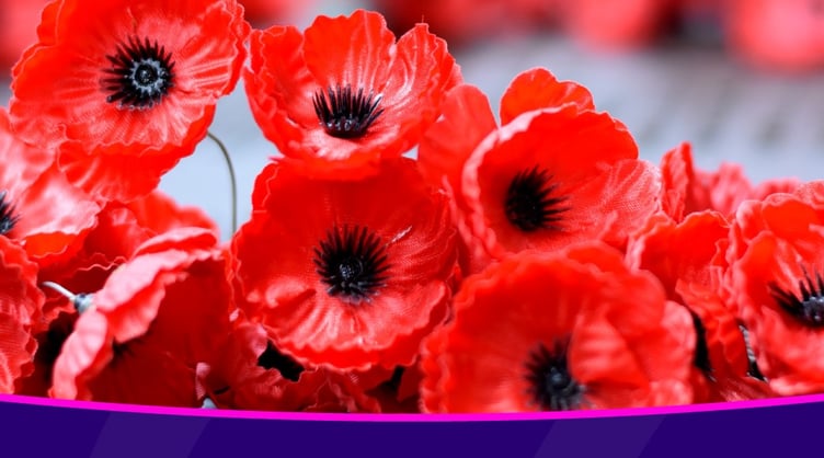 Remembrance travel 2025