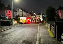 New arrests in baby dog attack investigation