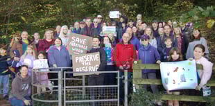 Merrivale Woods crowdfunding scheme fails - but all is not lost