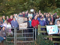 Merrivale Woods crowdfunding scheme fails - but all is not lost