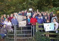 Merrivale Woods crowdfunding scheme fails - but all is not lost