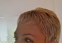 Local artist exhibit original artworks in Ross