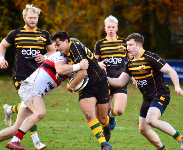 Boars hog the points as Newent fall away