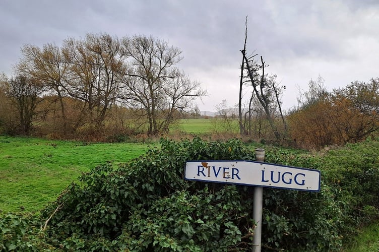The 'Lammas' meadow beside the Lugg is under threat, it has been claimed
