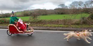Santa's Husky Sleigh arrival set to delight at Christmas Fayre