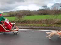 Santa's Husky Sleigh arrival set to delight at Christmas Fayre