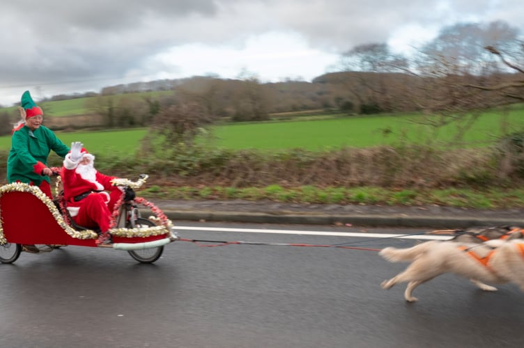 Santa and husky dogs