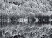 Paul Dowgill triumphs in Ross Photo Club's print competition