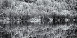 Paul Dowgill triumphs in Ross Photo Club's print competition