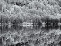 Paul Dowgill triumphs in Ross Photo Club's print competition
