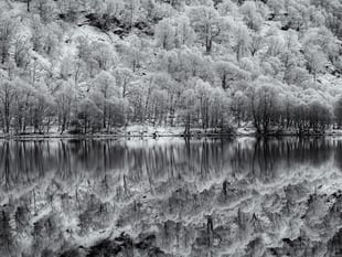 Paul Dowgill triumphs in Ross Photo Club's print competition