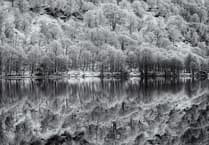 Paul Dowgill triumphs in Ross Photo Club's print competition