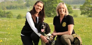 Henry hogs award for conservation