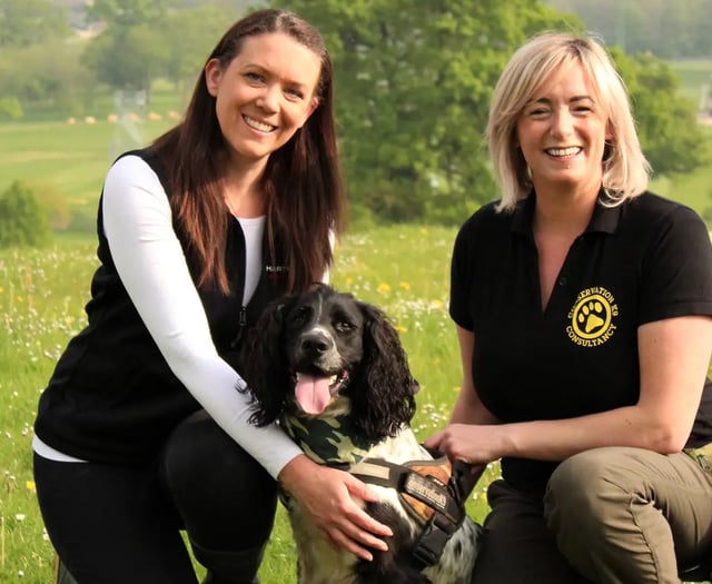 Henry hogs award for conservation