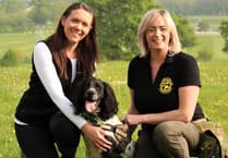 Henry hogs award for conservation