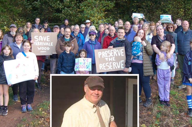 Merrivale Woods