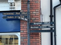 Town's iconic wayfinding signs up for grabs