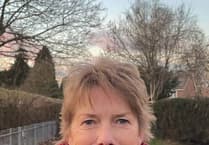 Green Party suspends county leader over trans views