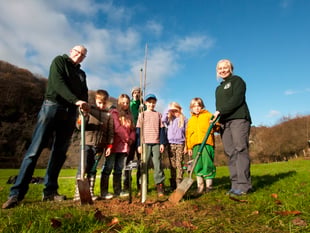 Sycamore Gap sapling planted at Biblins