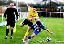 Lion Hart brace fires Daffs into play-off zone