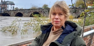 Green MP 'deeply saddened' by party suspension of council group leader