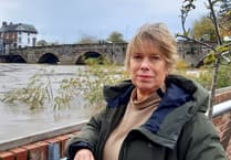 Green MP 'deeply saddened' by party's suspension of council group leader