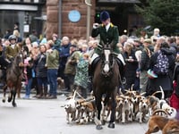 Ross Harriers uphold Boxing Day tradition with town meet
