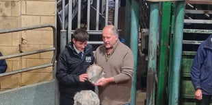 Flying trade at Christmas auction with record-breaking prices