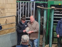 Flying trade at Christmas auction with record-breaking prices