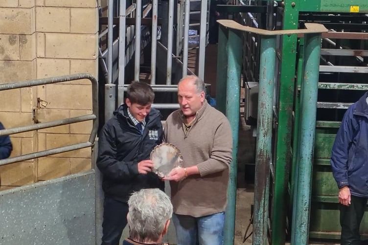 Livestock market Christmas auction