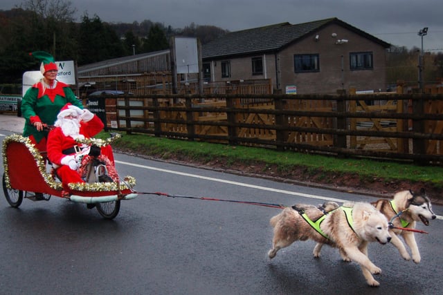 Festive fun weekend with huskies and tractors 