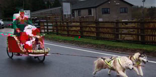 Festive fun weekend with huskies and tractors 