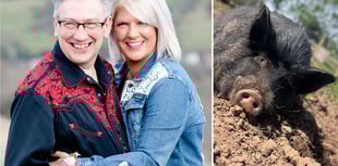 Ross couple transform their home into animal sanctuary