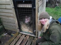 Wildside Exotic Rescue set to open to the public