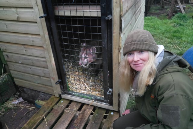 Wildside Exotic Rescue set to open to the public