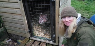 Wildside Exotic Rescue set to open to the public