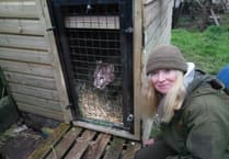 Wildside Exotic Rescue set to open to the public