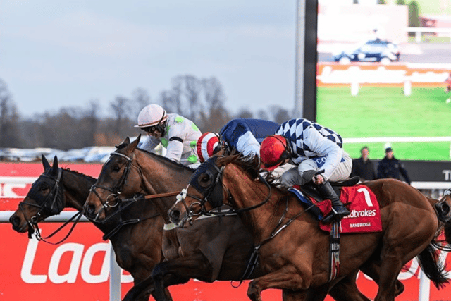 It's Harry's game as Djelo finishes fifth in Kempton classic