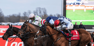 It's Harry's game as Djelo finishes fifth in Kempton classic