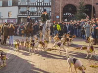 Ross Harriers' Boxing Day Drag Hunt draws thousands of supporters