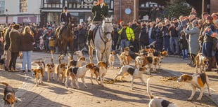 Ross Harriers' Boxing Day Drag Hunt draws thousands of supporters